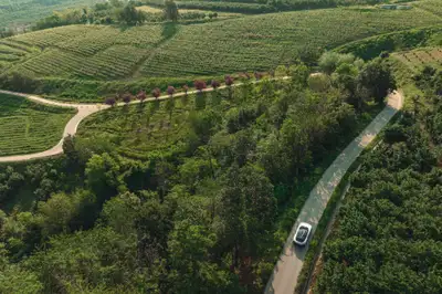 PURA_Vision_07.jpg PURA_Vision_07.jpg